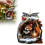 Acryl-Waschbär-Weihnachtsornament 2025, Waldtier 1