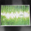 5X DIY Green Grass Wall Sticker Removable Wall Decor Waterproof Bedroom Mural Decal 3