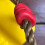 Portable Tree Swing for Kids 7