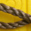 Portable Tree Swing for Kids 9