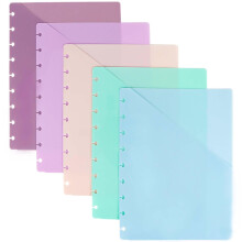 Divizoare cu discuri și buzunare, 180x238mm, pachet de 5