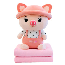 Couverture Sherpa brodée à motif dessin animé avec peluche 2 en 1
