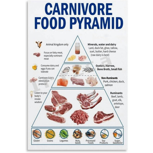 Affiche en toile de la pyramide alimentaire du régime carnivore