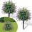 Artificial Topiary Ball Trees with Purple Camellia Flowers 1
