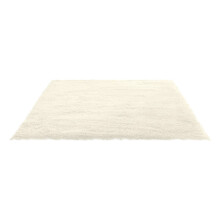 Fluffy Shag Area Rugs Soft Fuzzy Shaggy Rugs for Girls Bedroom Kids Room Carpet Furry Throw Dorm Rug 31 x 19 Inches