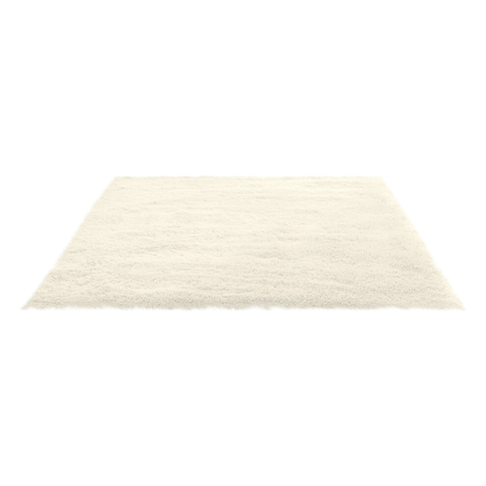 Fluffy Shag Area Rugs Soft Fuzzy Shaggy Rugs for Girls Bedroom Kids Room Carpet Furry Throw Dorm Rug 31 x 19 Inches