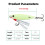 Paddle Tail Shrimp Lure with Hooks – 2 Pack 4