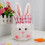 Easter Bunny Drawstring Candy Bag, Plush Rabbit Design, 14 4