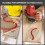 Flexible Polymer Woodworking Profiling Strip 1m Guide Tool 4