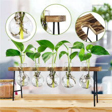 2X Propagation Stations Desktop Air Plant Terrarium, Glass Planter Bulb Glass Vase with Wooden Stand - Plant Terrarium