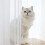 Window White Sheer Curtains 84 Inches Long 8 Panels Sheer White Curtains Clear Curtains Basic Rod Pocket Panel 1