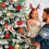 60 Peças Bolas de Espelho de Discoteca 2 Polegadas Bola de Espelho Reflexivo Bola Pendurada para DecoraçãO de Festa de árvore de Natal 7