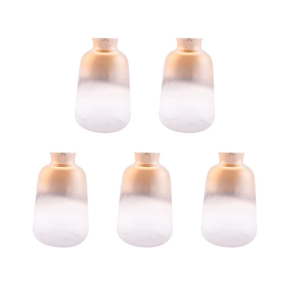 Semoic 5X Glass Vase Nordic Electroplated Gold Vase Glass Flower Vases For Dried Flower Bottle Bar Decoration(9X14cm)