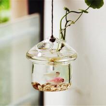 2X Pilz Förmige Hängende Glas Pflanzer Vase Rumpeln Fisch Aquarium Terrarium Container Haus Garten Dekoration