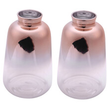 2X Glas Vase Nordisch Galvanisierte Gold Vase Glas Blumen Vasen für Wohnen Kultur Getrocknete Blumen Flasche Bar Dekoration (9X14Cm)