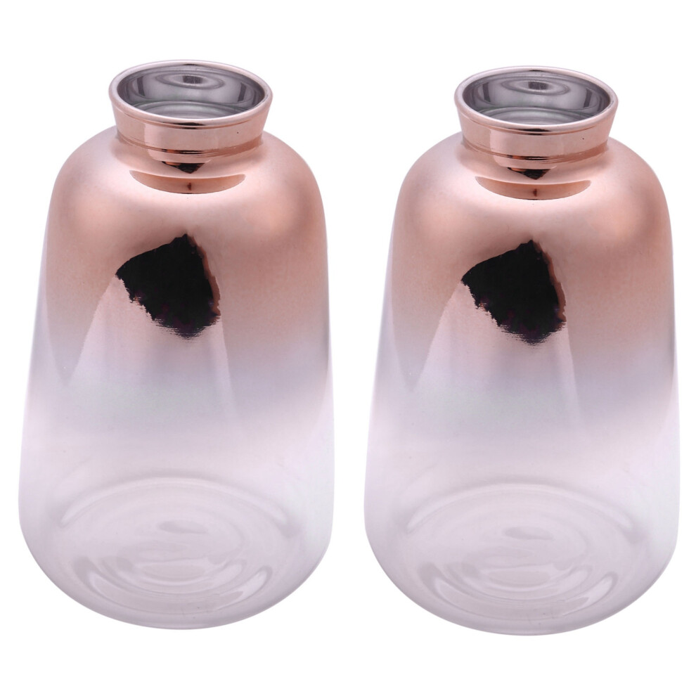 2X Glass Vase Nordic Electroplated Vase Glass Flower Vases For Home Dried Flower Bottle Bar Decoration(9X14cm) Gold 6032031560219
