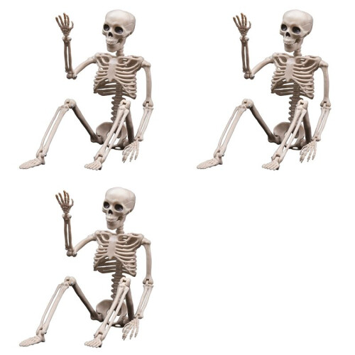 3X Halloween Skeletons Decorations, Posable Plastic Skeleton, Full Body Skeleton with Movable Joints