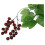 4x Artificial Grape Vine Garland Fruit for Home Garden Decoration 4