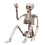 3X Halloween Skeletons Decorations, Posable Plastic Skeleton, Full Body Skeleton with Movable Joints 2