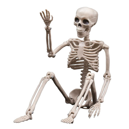 3X Halloween Skeletons Decorations, Posable Plastic Skeleton, Full Body Skeleton with Movable Joints 1
