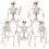 3X Halloween Skeletons Decorations, Posable Plastic Skeleton, Full Body Skeleton with Movable Joints 6