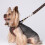Adjustable Polyester Dog & Cat Harness Leash Breathable Escape Proof Brown Large 13