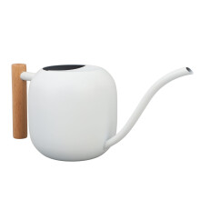 Indoor 1.2L Stainless Steel Watering Can with Wooden Handle, 30x15cm