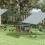 PawHut PawHut Chicken Coop with Nesting Box, Openable Top, Pull-Out Tray, Grey 8