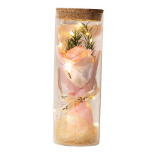 Rose Flower in Glass with Lights Anniversary Preserved Flower in Glass