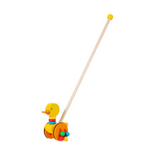 Push Along Walking Develops Motor Skills Wooden Push Toy for Kids Girl