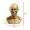 Head Mould Statue Human Anatomically Study Photo Props Head Anatomical 2