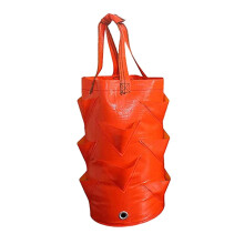 Strawberry Growing Bag Large Capacity 3 gallons for Growing Plant Hous