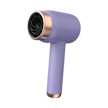 Portable Hair Dryer Fast Drying Hair Care Power for Art Painting Hotel