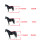 Horse Pu Shell Neoprene Lined Front/Rear Leg Boots Sets Front+Rear Bro 2