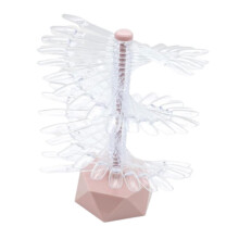 Nail Color Display Detachable for Nail Set Tool Practice Tools Nail Sw