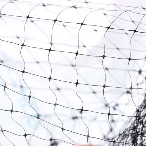 Bird Netting Garden Protect Net Bird Mesh for Fruit Crops Vegetables 6 2
