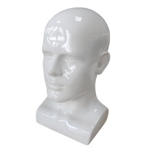 Men Mannequin Head PVC Display Stand Accessory for Salon Display gloss