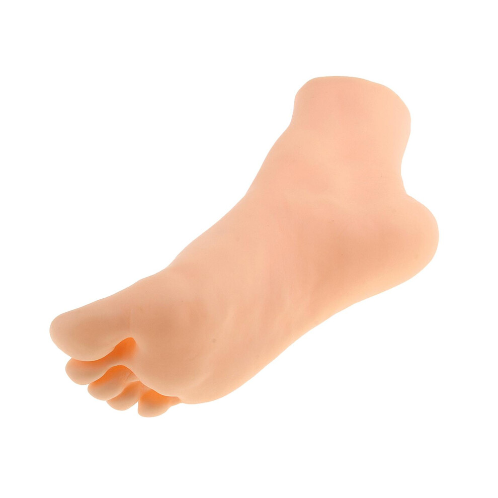 Foot Model Mannequin Foot Holder Foot Sock Display for Photography Pro