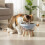 Elevated Pet Feeding Station Insert Dish For Comfortable-Green 4