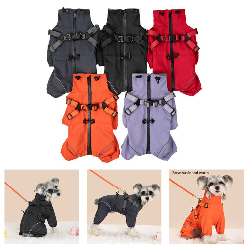 Manteaux imperméables d'extérieur pour chiens,-Gris M 2