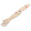 Portable Beige Hand Bone Joint Model for High School Anatomy Study 9