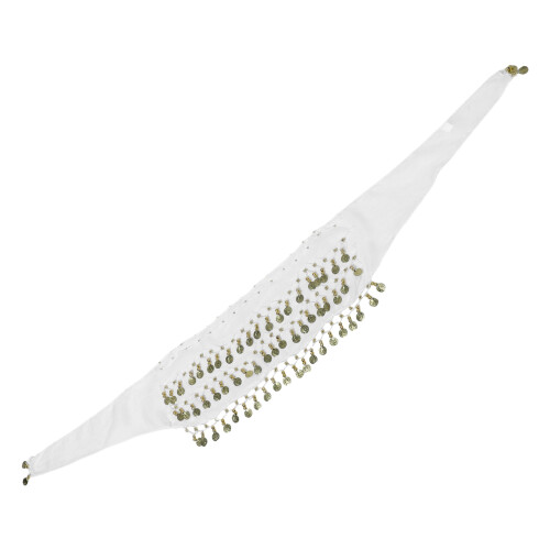 5Pièces Ceinture Hanches Danseuse En Chiffon À Pièces 2