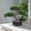 Artificial Tree Sculpture Faux Miniature Greenery-Double layer 4