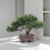 Artificial Tree Sculpture Faux Miniature Greenery-Double layer 6