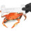 Multipurpose Acrylic Crabs Lobster Measuring Gauge For Precise 7