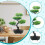 Artificial Tree Sculpture Faux Miniature Greenery-Double layer 5