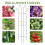 2lots Metal Vertical Garden Frames For Plant Easyly Assembly 6