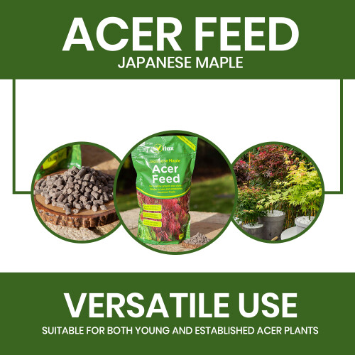 Vitax Vitax Acer Feed 0.9kg x2 for Japanese Maple 2