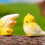 Resin Parrot Statue Educational Toy Figures Miniature Parrot 6