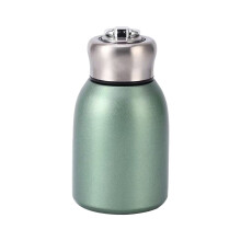 Bouteille isolée portative en acier antirouille,-Vert